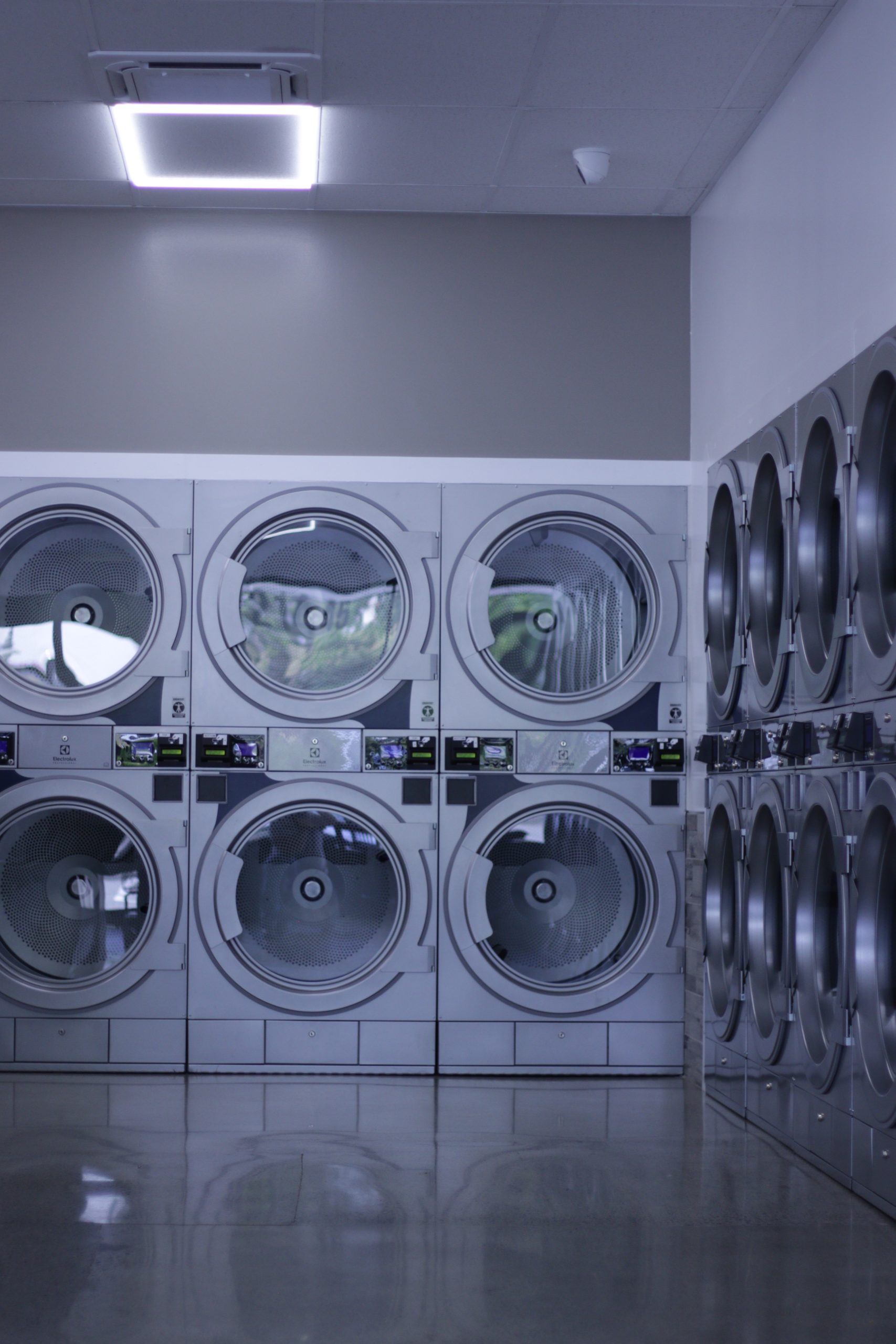 Commercial Laundry Service in Roosevelt, Seattle, WA