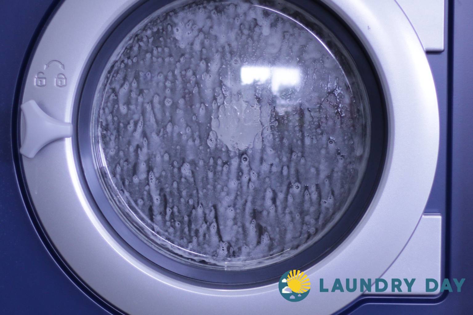 Restaurant Laundry Service in 98112